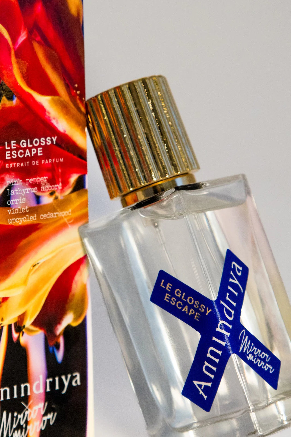 LE GLOSSY ESCAPE