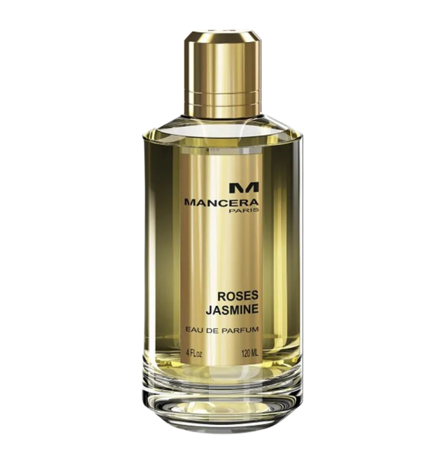 ROSES JASIME by MANCERA