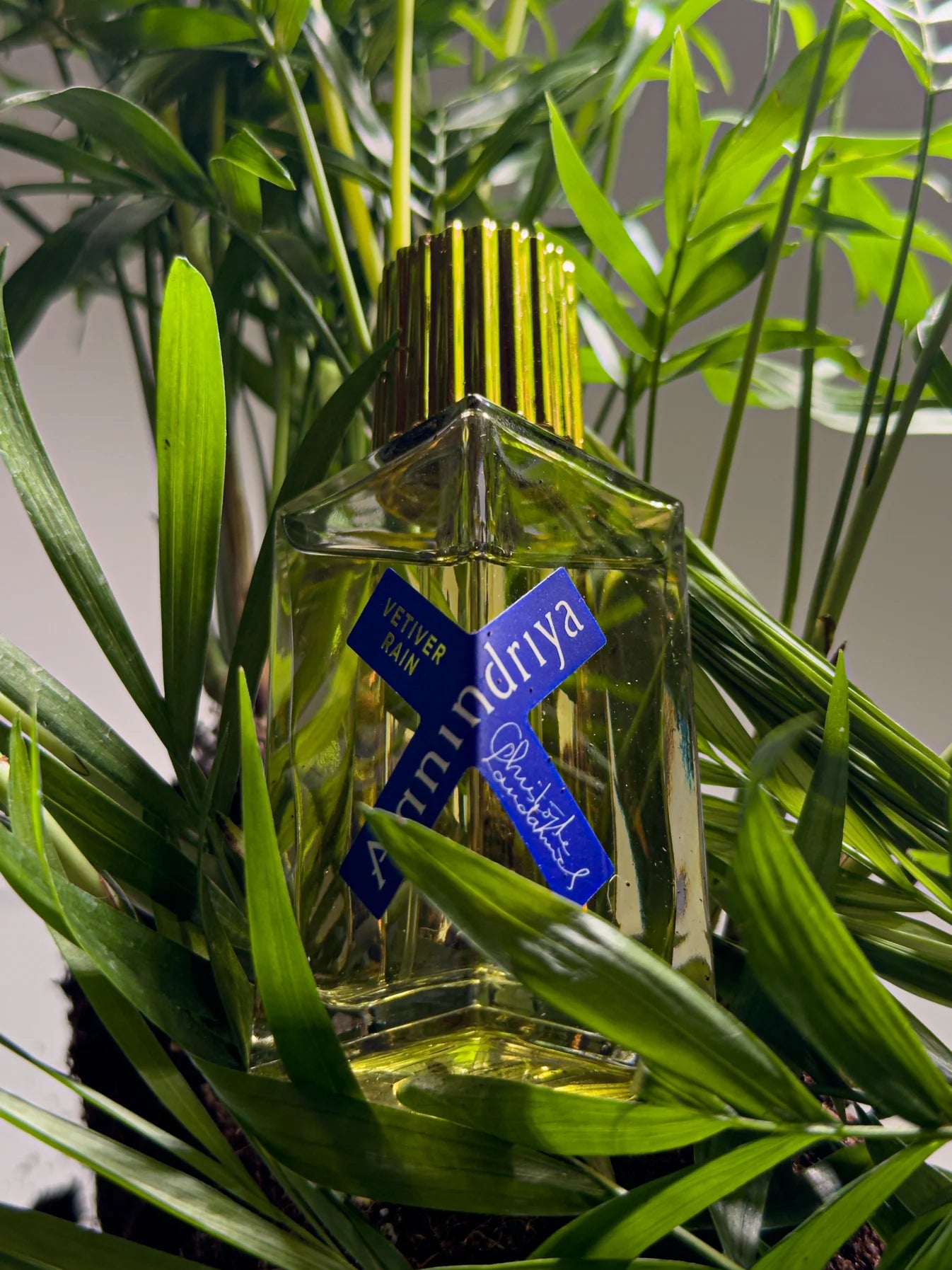 VETIVER RAIN